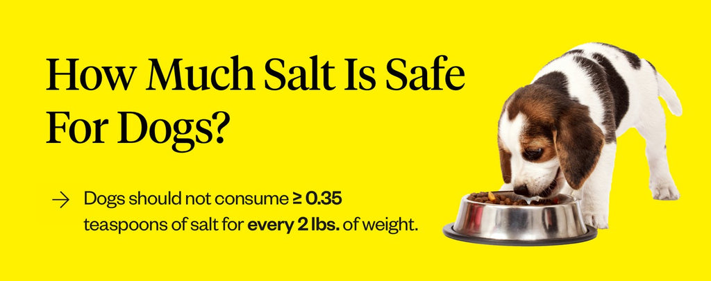 Dogs should not consume more than 0.35 teaspoons of salt for every 2 pounds of weight