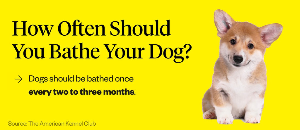 how often should i bathe a puppy