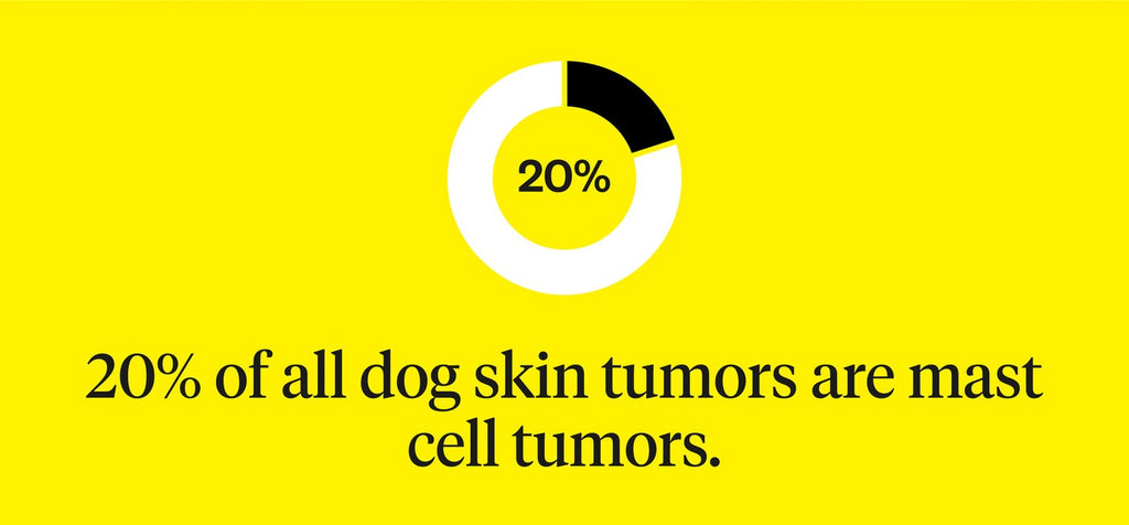 20% of all dog skin tumors are mast cell tumors