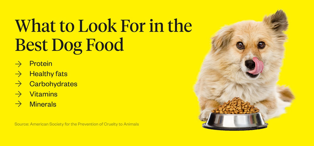 What to look for in the best dog food