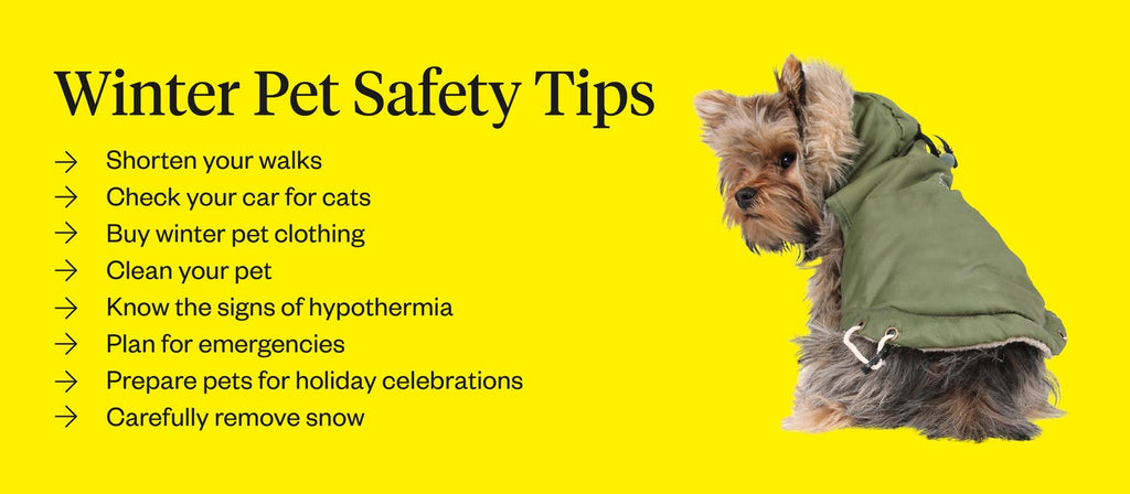 Winter pet safety tips include: shortening your walks, checking your car for cats, winter pet clothing, cleaning your pet and planning for emergencies. 