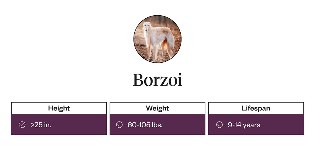 Height, weight, and lifespan of Borzois