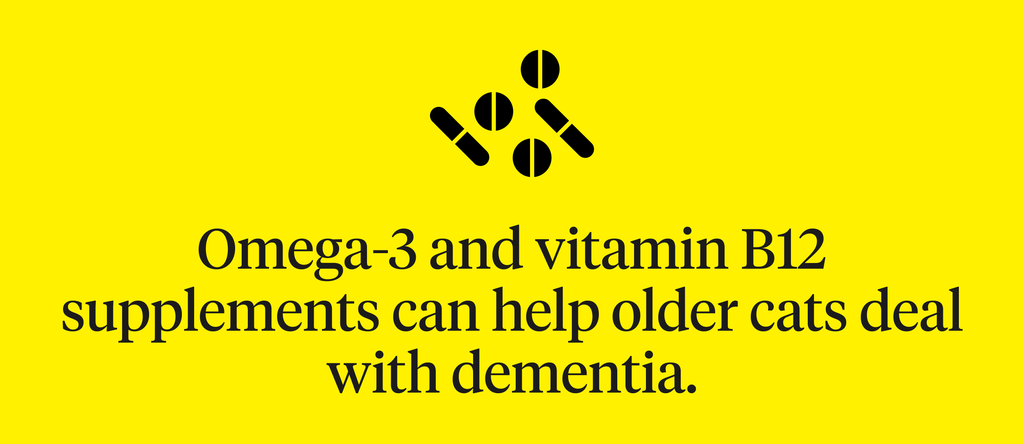 omega-3 and vitamin B12 supplements can help older cats deal with dementia
