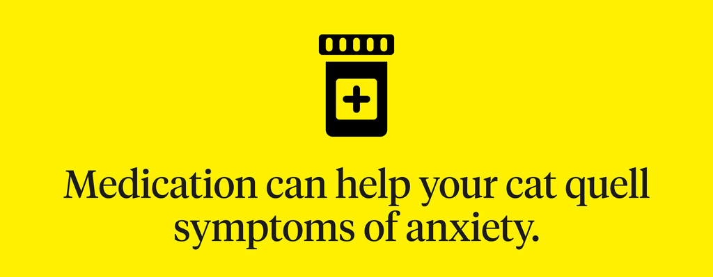  medication can help your cat quell symptoms of anxiety