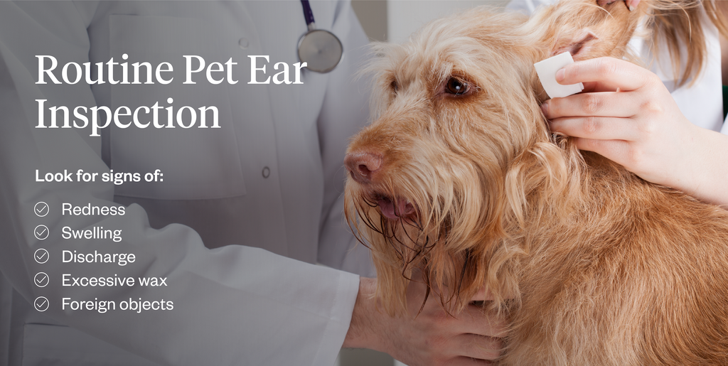 What to look for when routinely inspecting your pet’s ears