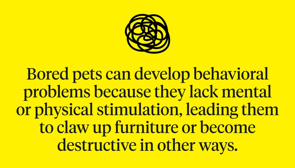 Bored pets can develop behavioral problems because they lack mental or physical stimulation.