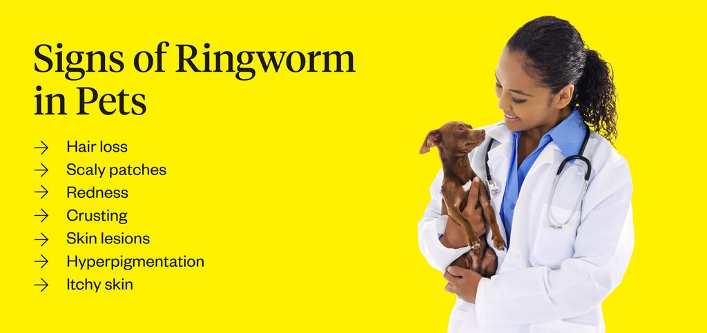 Signs of ringworm in pets