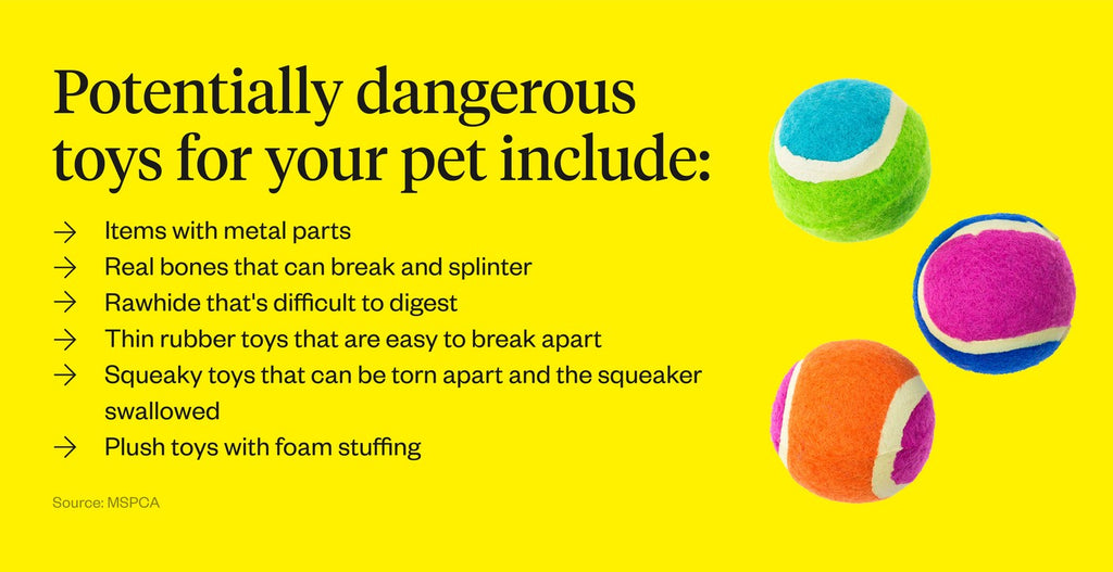 Source: MSPCA. Some potentially dangerous toys for pets are items with metal parts, real bones that can break and splinter, rawhide, thin rubber toys, and squeaky toys.