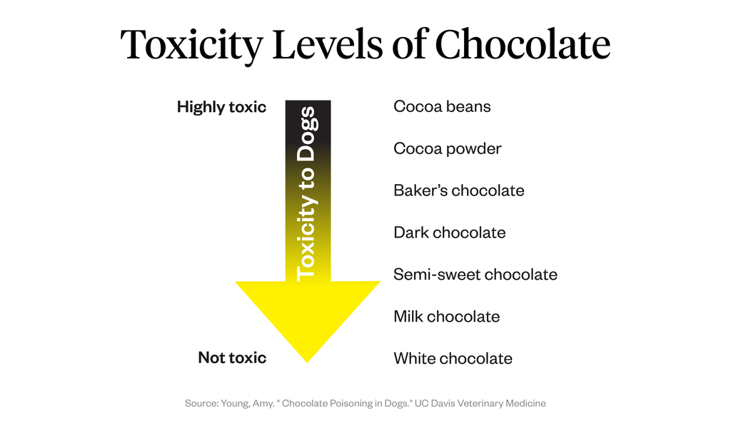 Toxicity levels of chocolate