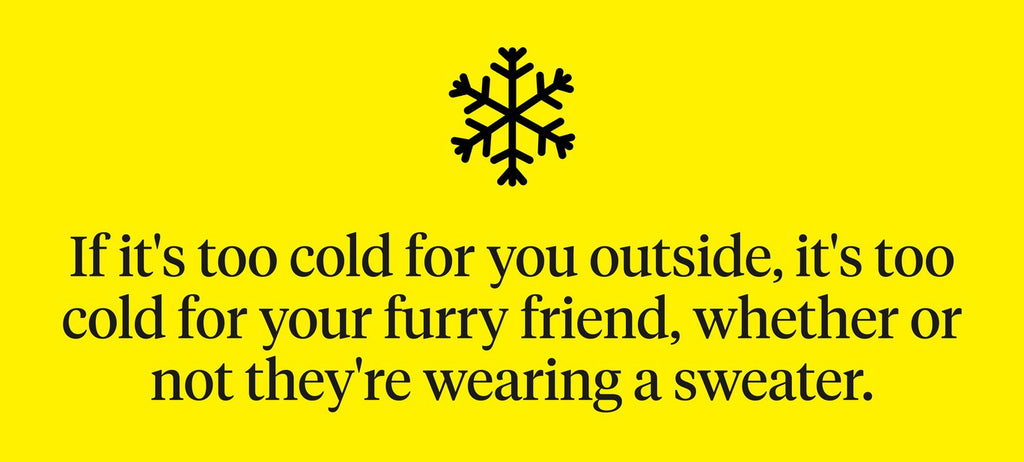 If it's too cold for you outside, it's too cold for your furry friend, whether or not they're wearing a sweater. 