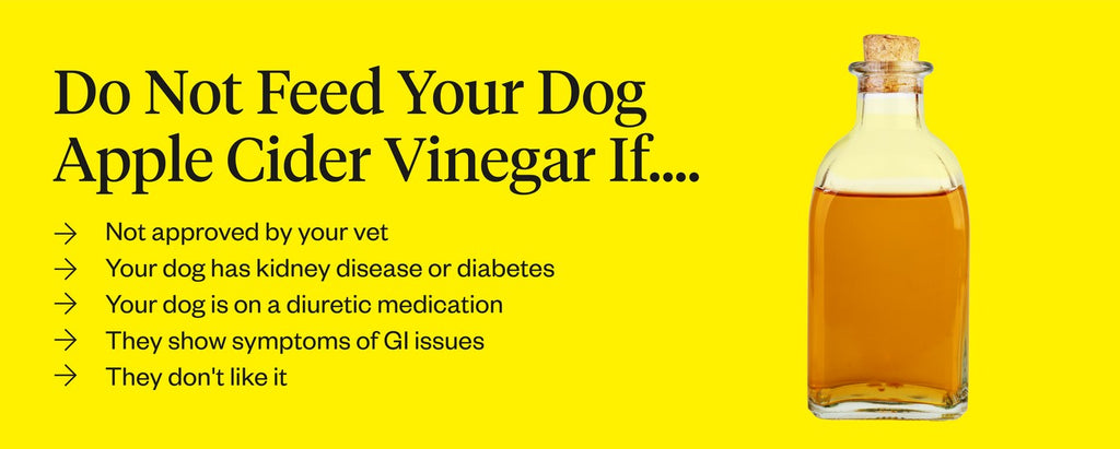 can you give a dog apple cider vinegar