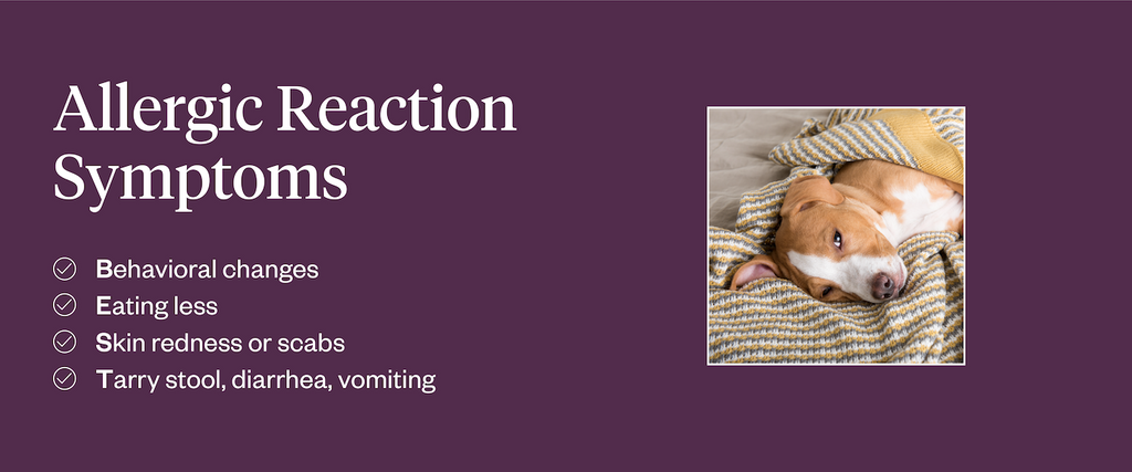 Allergic reaction symptoms (BEST acronym)