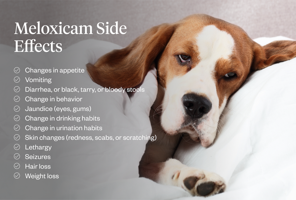 List of side effects of meloxicam