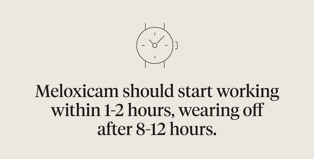 Meloxicam should start working within 1-2 hours, wearing off after 8-12 hours