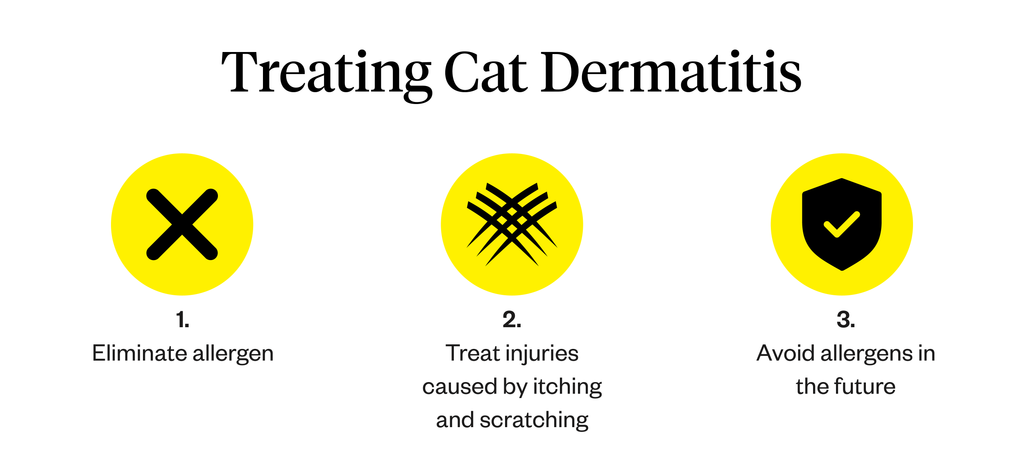 Image shows three ways to treat cat dermatitis: eliminate allergen, treat injuries caused by itching and scratching, and avoid allergens in the future 