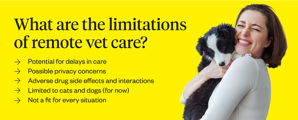 Graphic with limitations of remote vet care