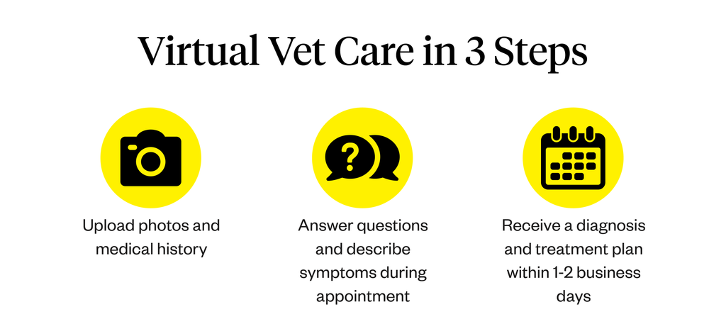 Virtual vet care steps