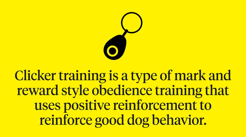 Clicker Training Dogs: Benefits & Tips