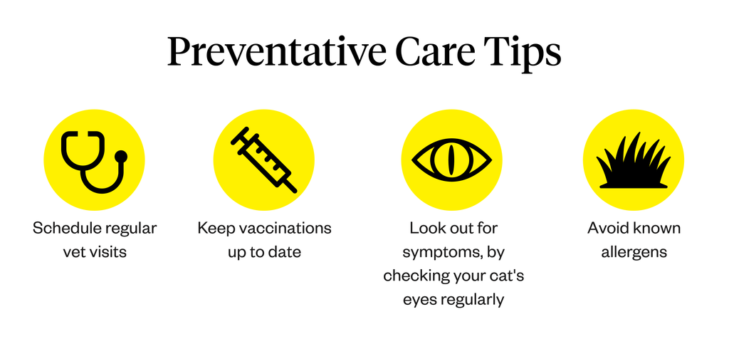 List of preventative care tips 