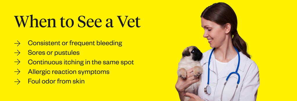 Graphic listing signs it may be time to see a vet for your itchy dog