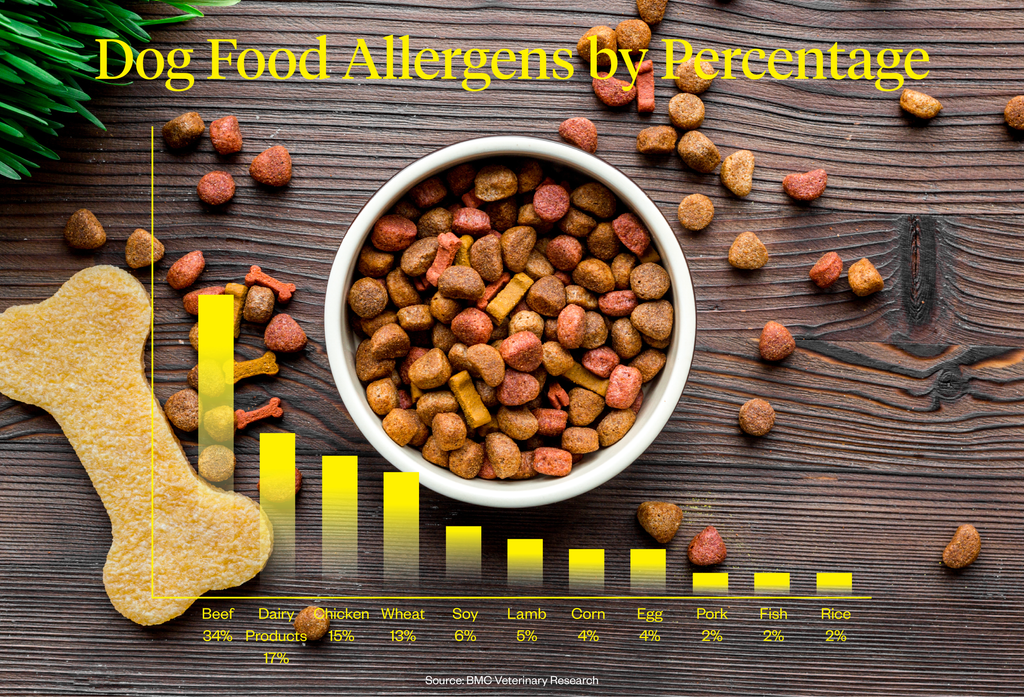 List of common dog food allergens 