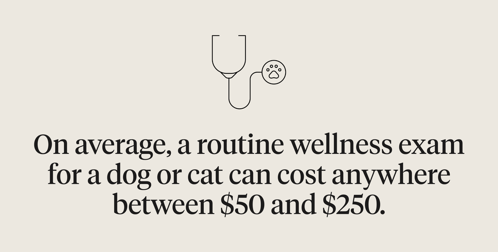 Annual wellness exams are essential for your pet’s health