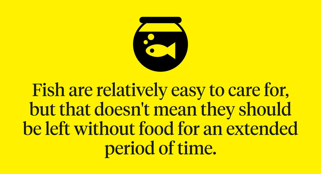 Fish are relatively easy to care for, but they shouldn’t be left without food for a long period of time