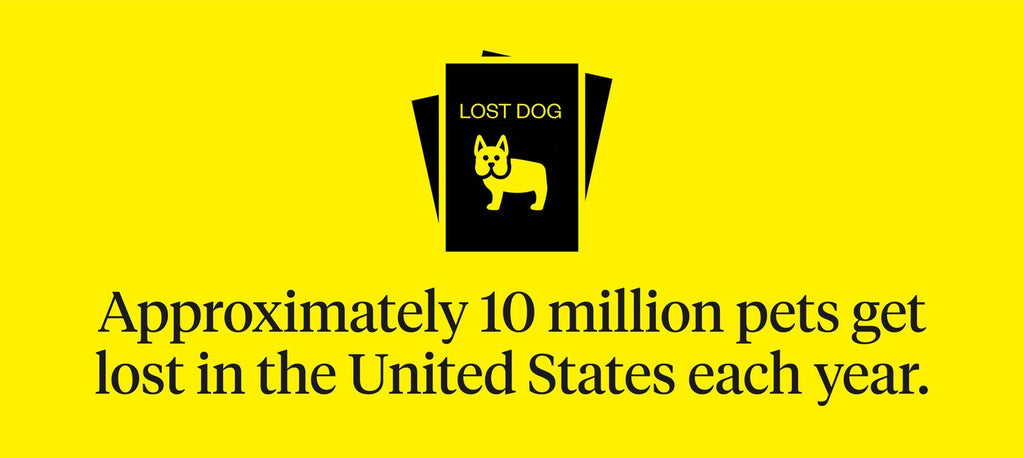 Around 10 million pets get lost each year