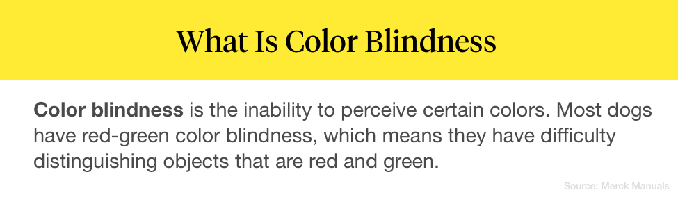 do dogs actually use color vision