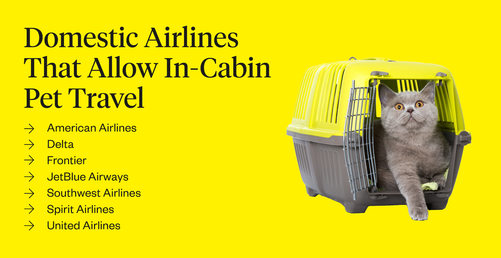 Domestic airlines that allow in-cabin pet travel