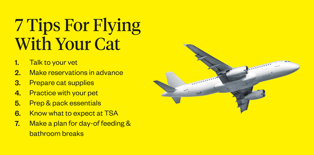 7 tips for flying with your cat