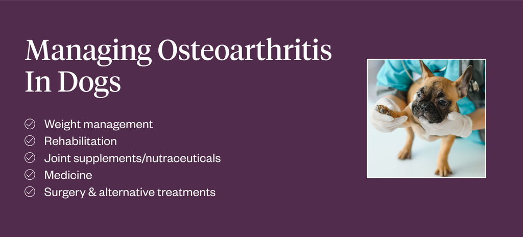 Managing osteoarthritis in dogs