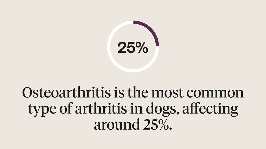 25% of dogs have osteoarthritis, the most common type of arthritis