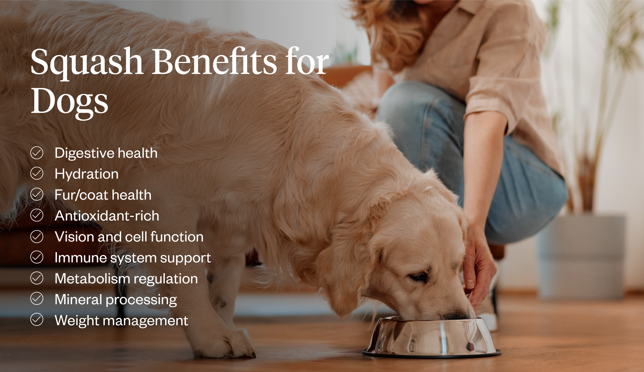 Squash benefits for dogs