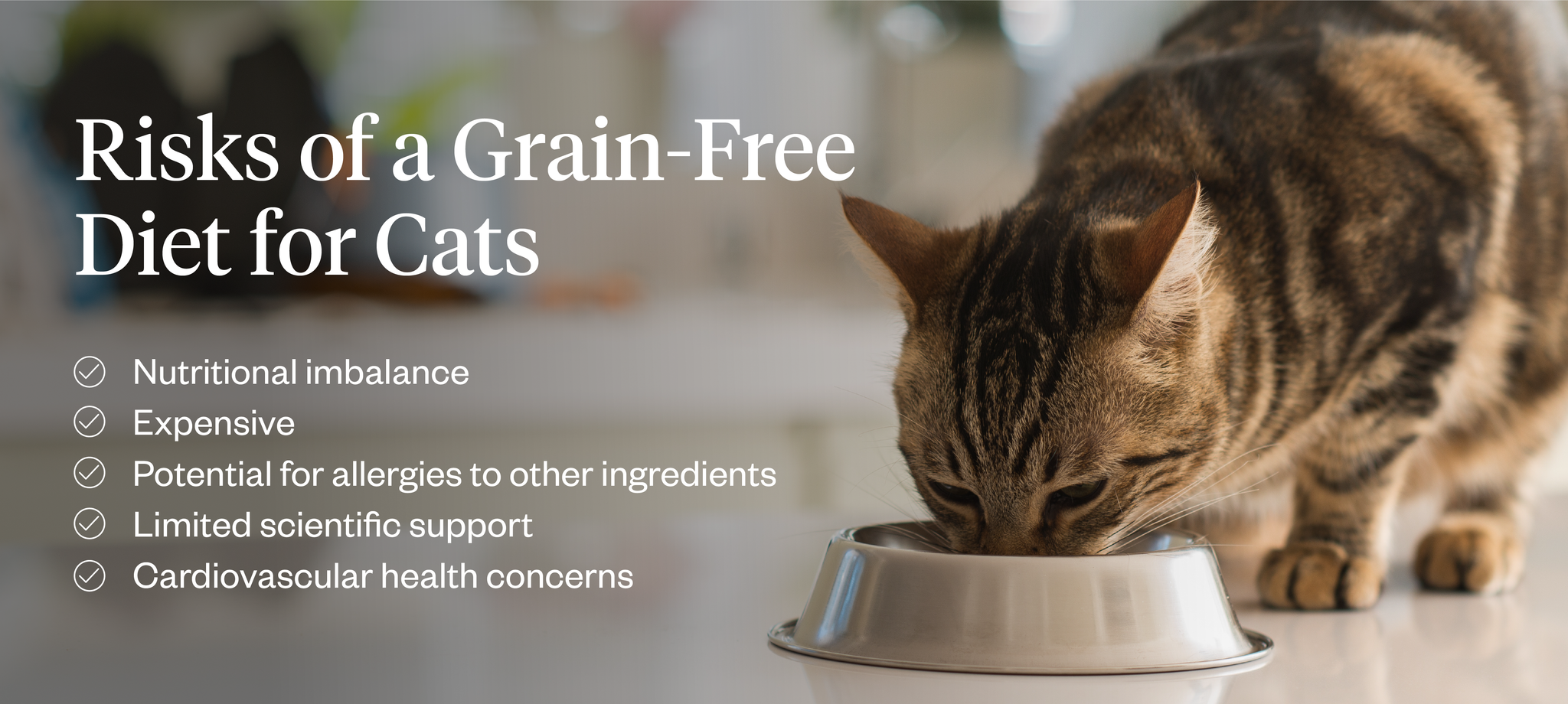 Risks of a grain-free diet for cats