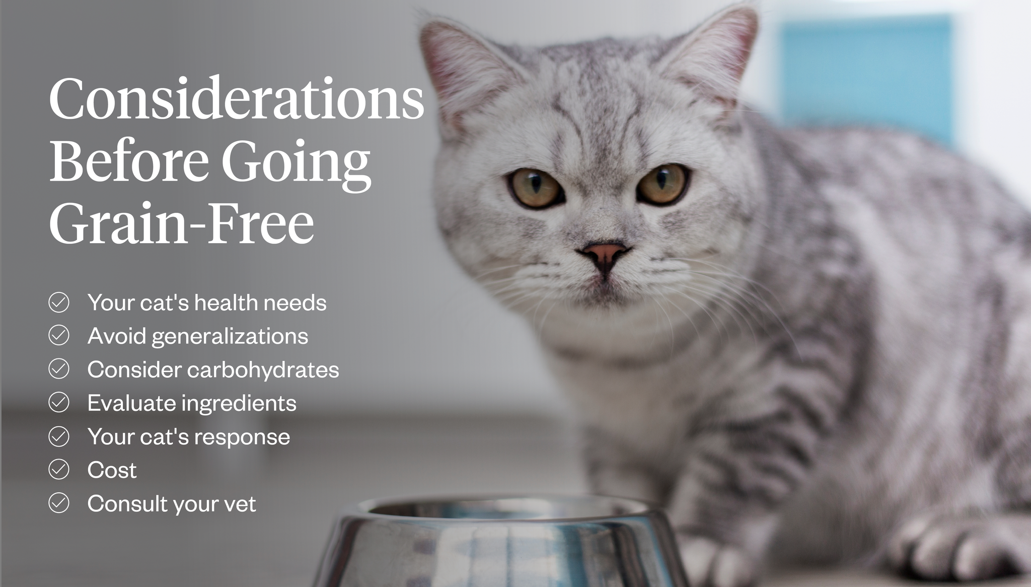 Considerations to weigh before feeding your cat a grain-free diet