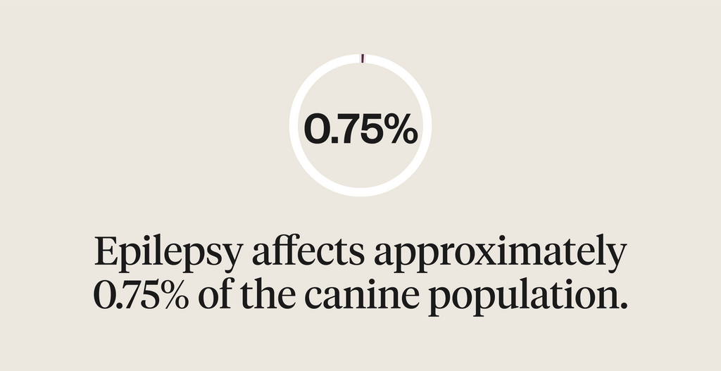 Epilepsy affects approximately 0.75% of the canine population