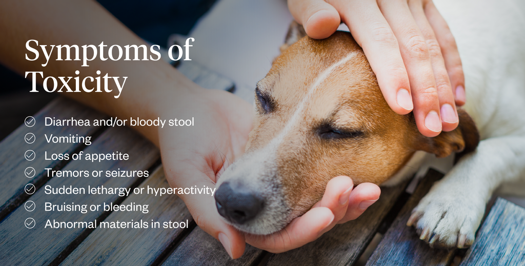 List of symptoms of toxicity in dogs