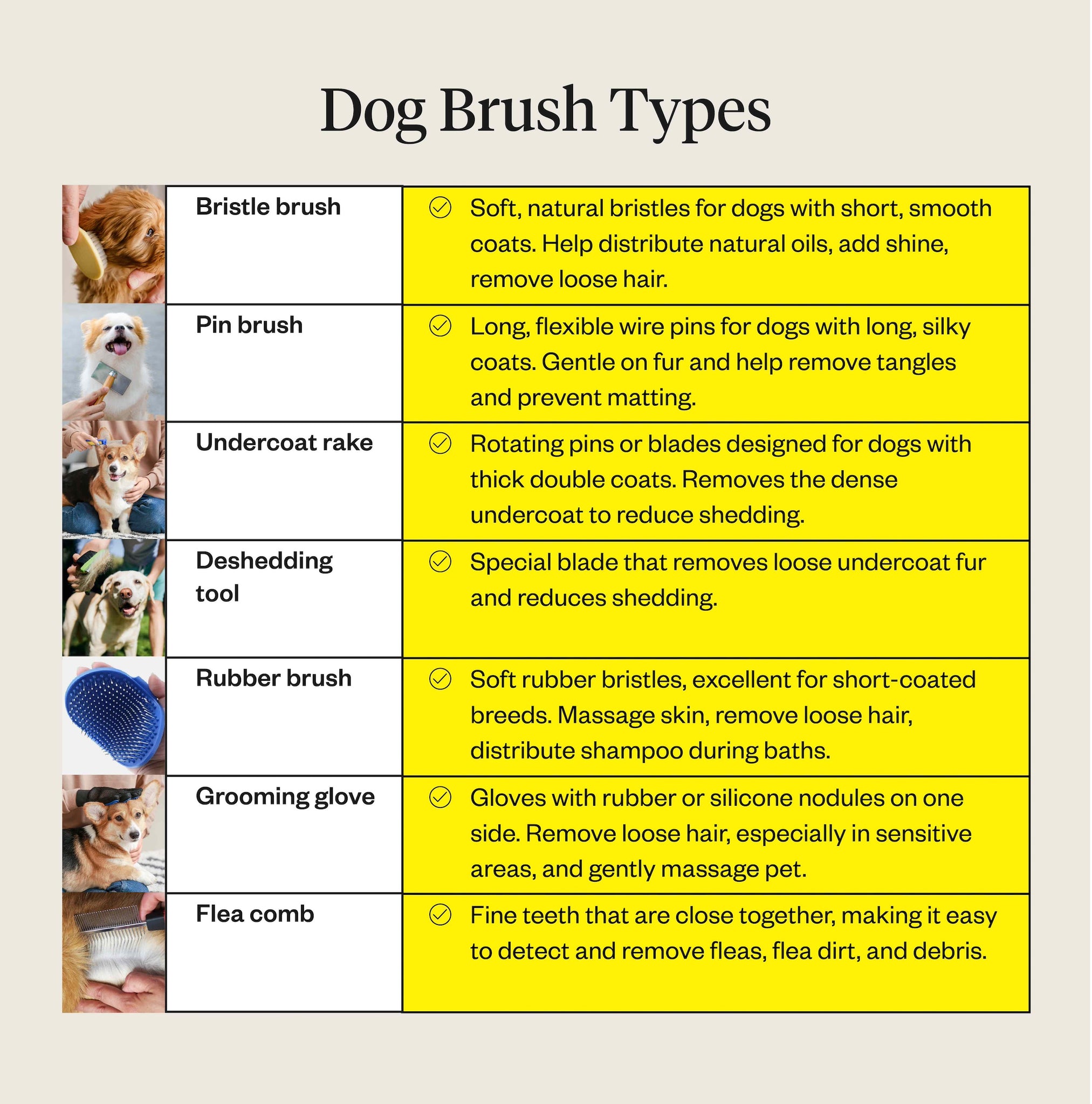 Types of dog brushes