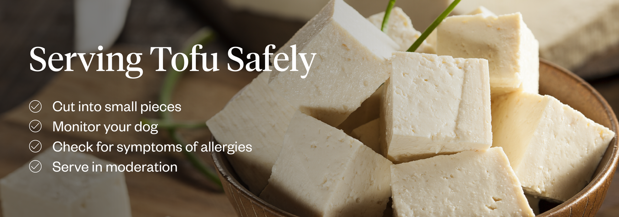 How to safely feed tofu to dogs