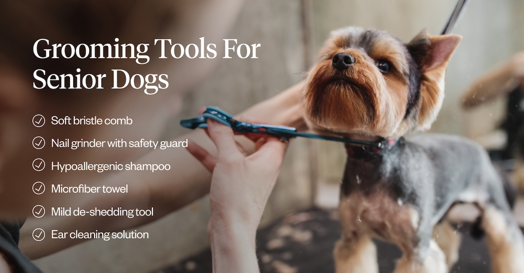 Essential grooming tools for senior dogs