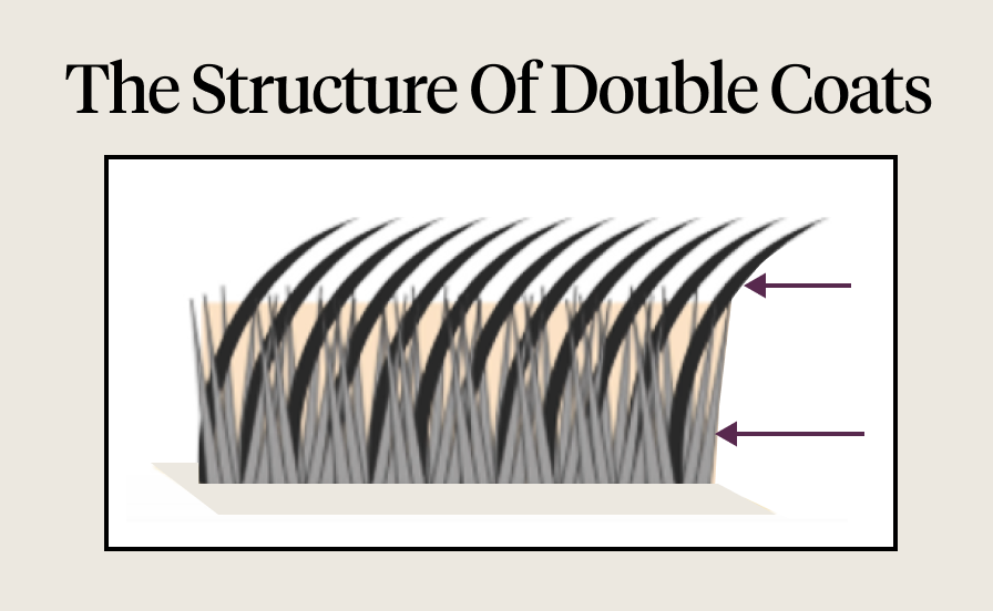 The structure of double coats