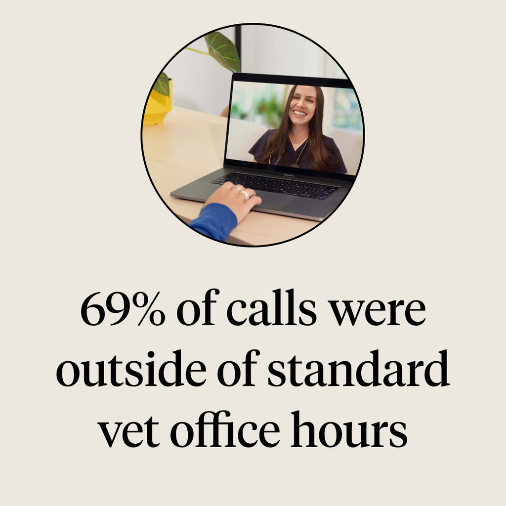 Graphic with image of woman in an online vet visit. Stat says “69% of Dutch calls were outside of standard vet office hours”