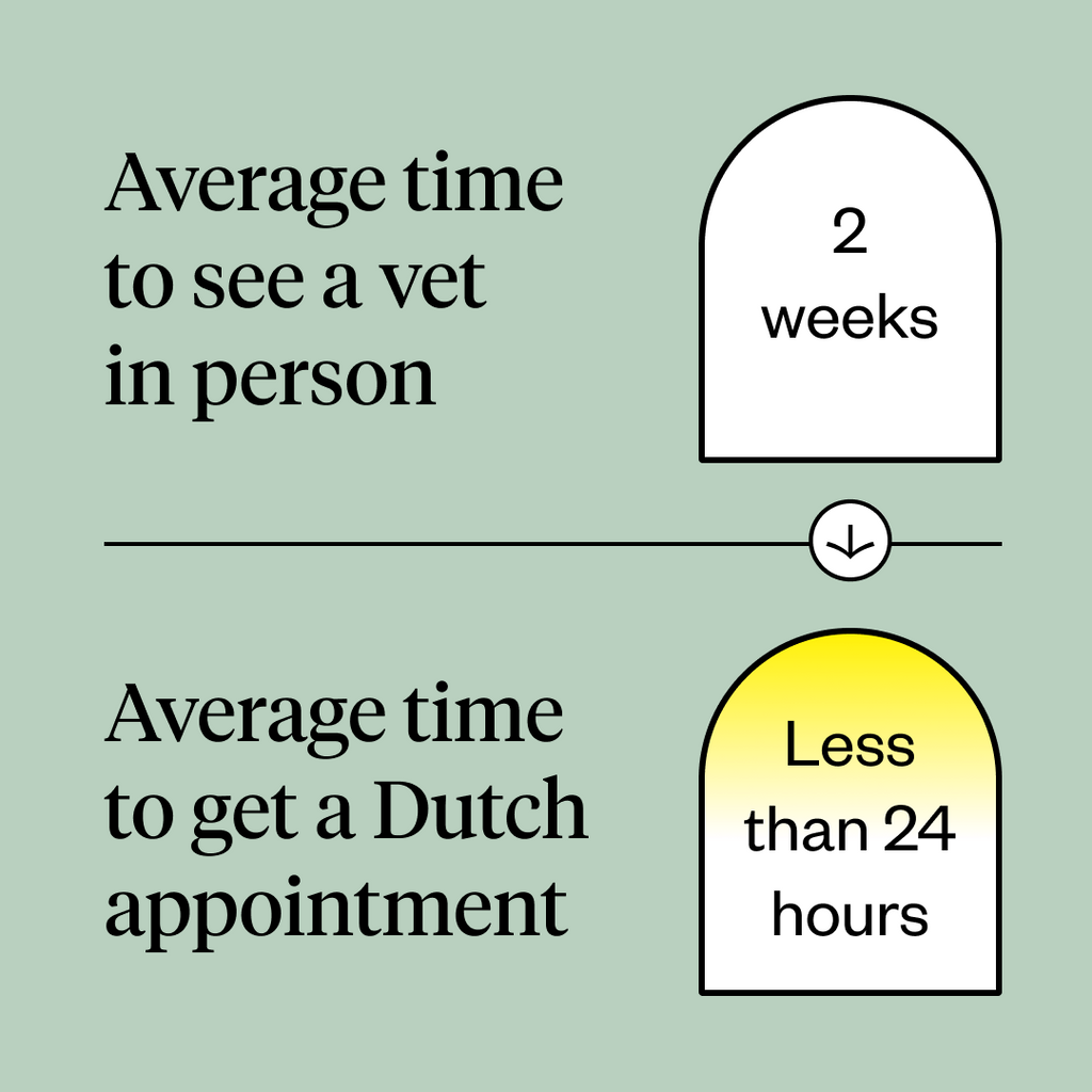 Average time to see vet in-person = 2 weeks ; Average time to see a Dutch vet = less than 24 hours.