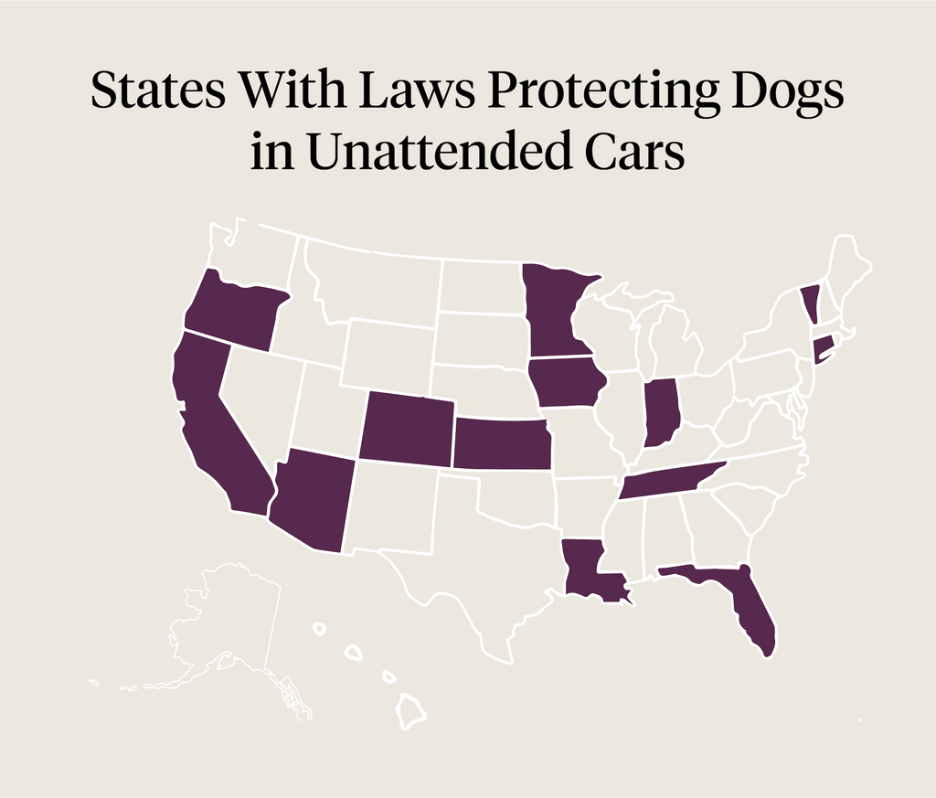 States with laws protecting dogs in unattended cars