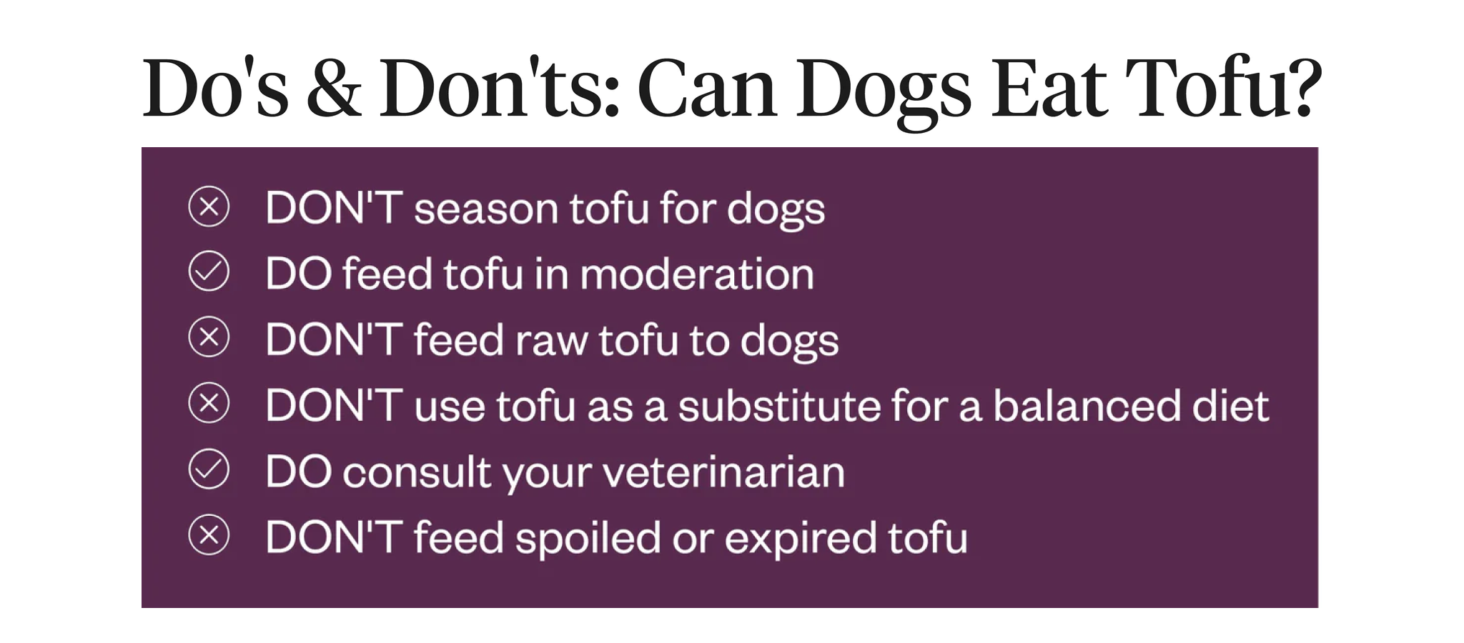 Do’s and Don’ts of feeding dogs tofu