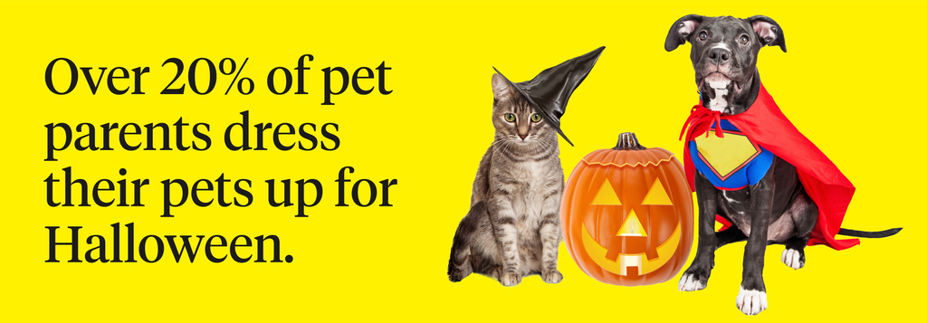 Over 20% of pet parents dress their pets up for Halloween
