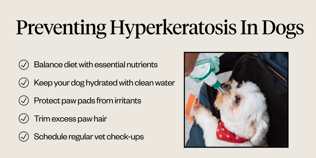 Preventing hyperkeratosis in dogs