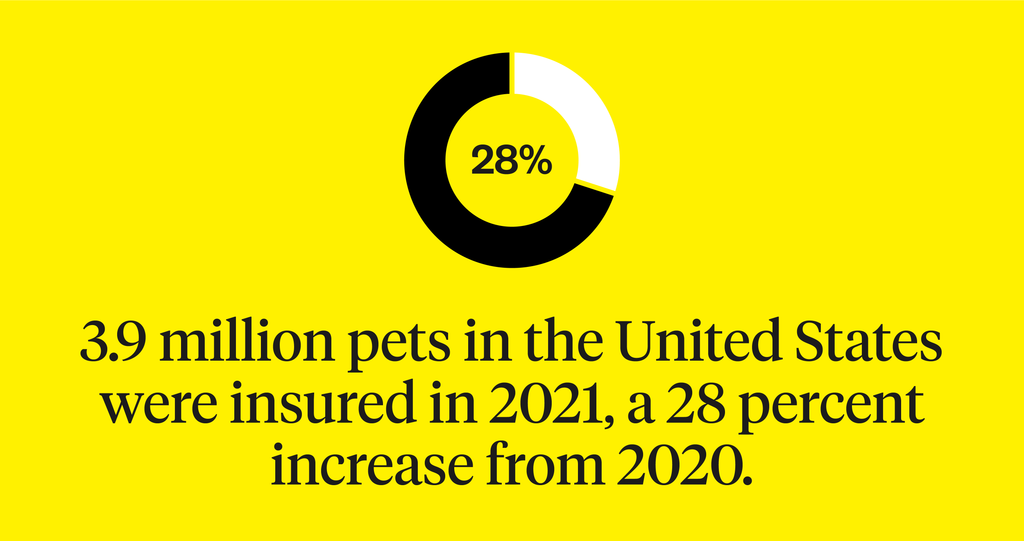 3.9 million pets in the U.S. were insured in 2021, a 28% increase from 2020