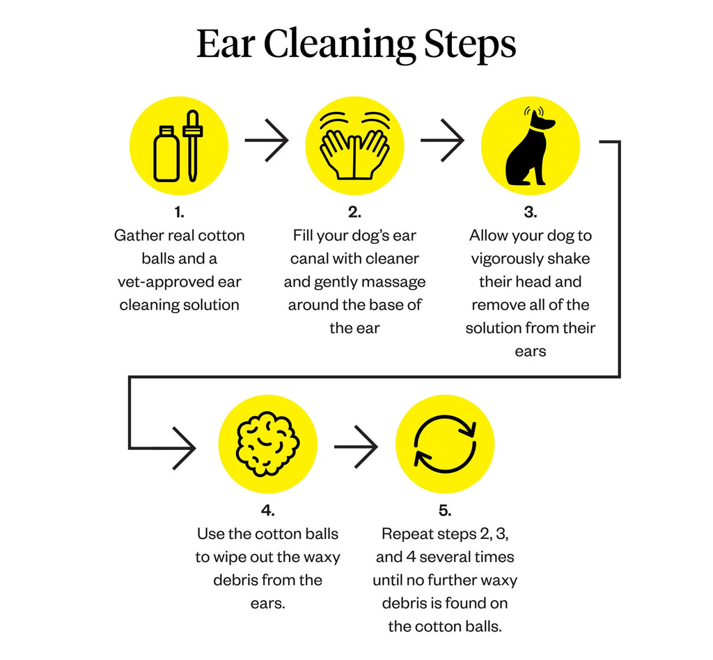 Graphic of ear cleaning steps